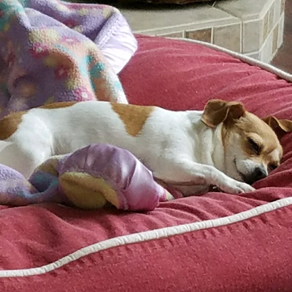 Meet your Posher, Peggy